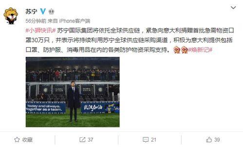 意大利爆料苏宁是谁啊视频,意大利爆料视频中的苏宁之谜 第3张 意大利爆料苏宁是谁啊视频,意大利爆料视频中的苏宁之谜 第3张